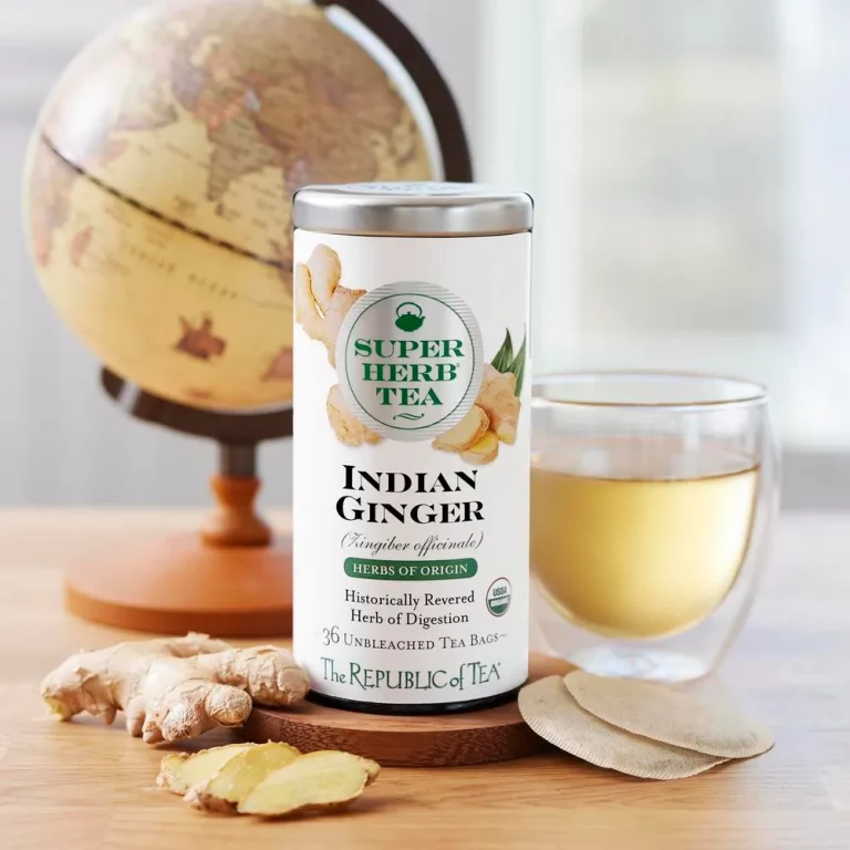 Organic Indian Ginger SuperHerb® Herbs of Origin Tea Bags - republic of tea